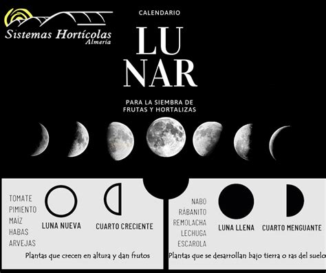 Calendario Lunar Para La Siembra De Frutas Y Hortalizas Sistemas