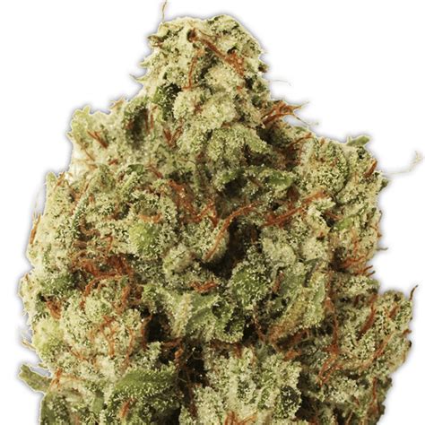 Heavyweight Seeds Green Ninja Indras Planet 25 00