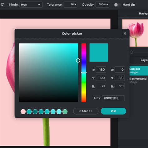 Create Custom Color Palettes With Pixlr S Color Picker Tool Hot Sex Picture