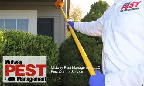 How Do You Deal With A Spider Infestation In Your Home? – Midway Pest Management