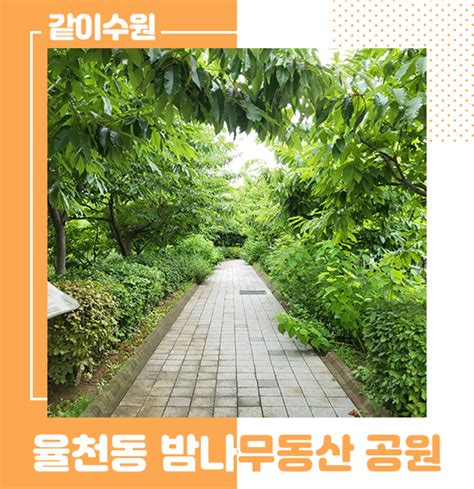 푸릇함이 가득한 율천동 밤나무동산 공원 경기도 수원시 웰로