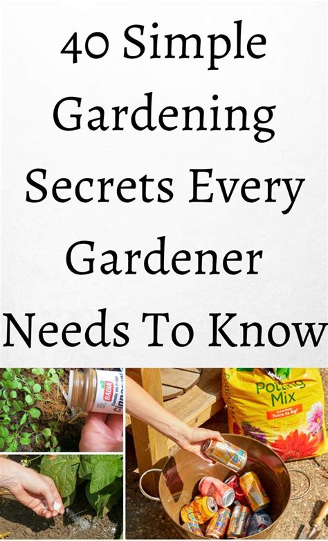 Best Kept Gardening Secrets Every Serious Gardener Ought To Know