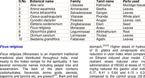 Some Common Herbs Used For Peptic Ulcer Download Scientific Diagram