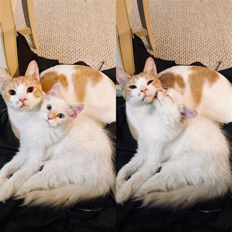 Charlie and his little sister, Marie, who was officially adopted on