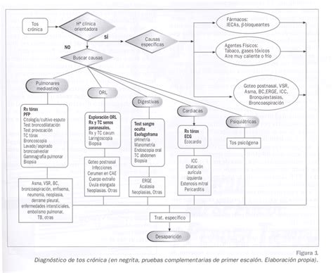 Tos Crónica Manejo En Atención Primaria