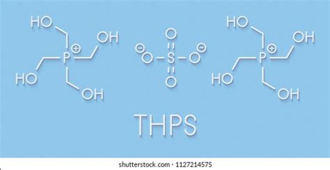 Diagram Showing Schematic Molecular Structure Sphingolipid Stock Vector