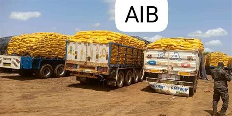 Burkina Faso Tonnes De Riz Avari Saisies Par La Douane