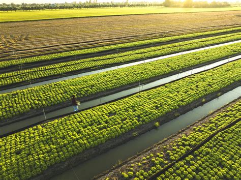 Riding the Volatility Wave