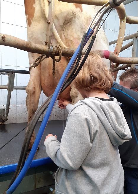 Besuch Auf Dem Bauernhof Igs Barssel