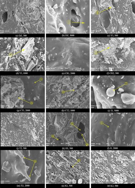 Typical Microstructure Of Polymer Cement Composite Joint Sealant