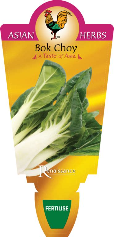 Bok Choy Renaissance Herbs Guildford Garden Centre