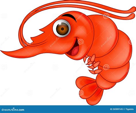 Prawn Cartoon Stock Vector Illustration Of Isolated 26989145