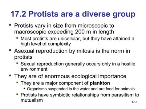 Evolution Of Protists Ppt