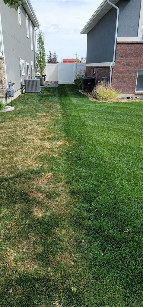 Domination Line : r/lawncare