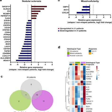 Immune Related Gene Prognostic Signature According To Classical Hodgkin