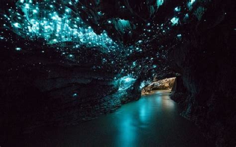 Waitomo Glowworm Caves, New Zealand - The Most Beautiful Caves ...