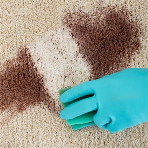 How To Remove Stubborn Stains From Carpets