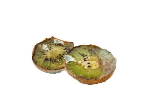 Kiwi Fruit Rot Stock Photos Free And Royalty Free Stock Photos From