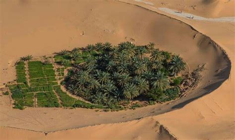 Oasis Timmimoun Adrar Algeria Vue du ciel Déserts du monde Photo