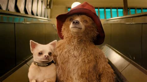 Paddington In Peru Everything We Know So Far