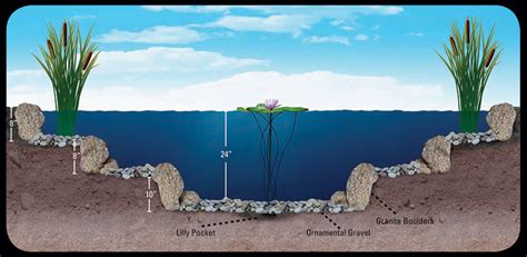 Bottom Drain Koi Pond Technology