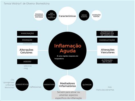 Mapas Mentais sobre INFLAMAÇÃO Study Maps