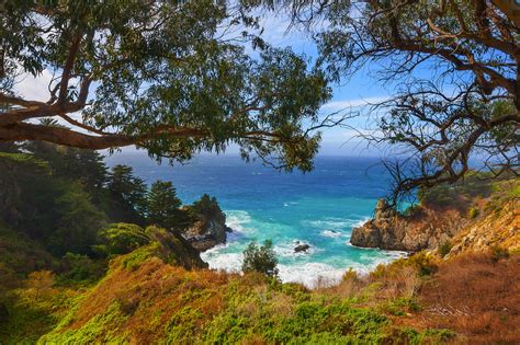 Download Tree Cliff California Big Sur Sea Ocean Nature Coastline Hd