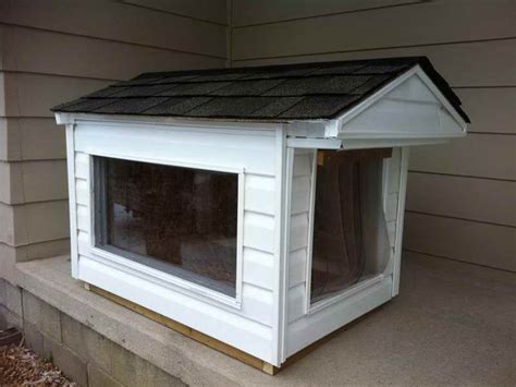 Indoor Dog House Glass Window Ideas Amazing