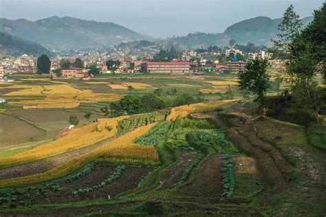 Namaste Nepal – haitibones