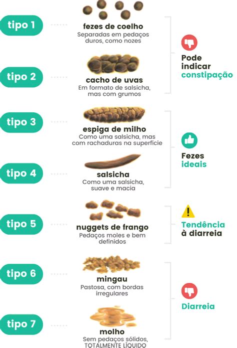 Tipos De Coco Bebe - Cocô do bebê: o que é normal, cores e quando se preocupar