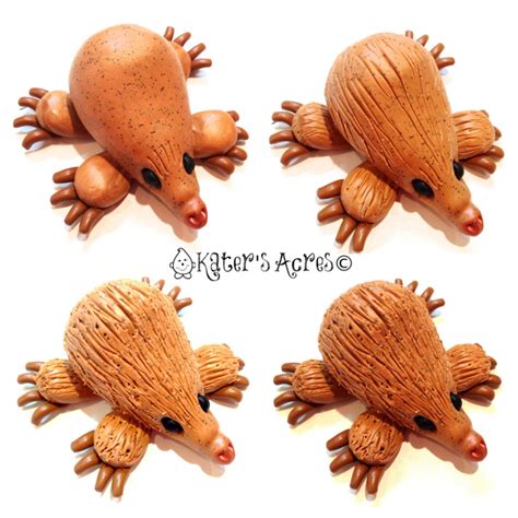 A Polymer Clay Animal Tutorial Featuring An Echidna By Katersacres