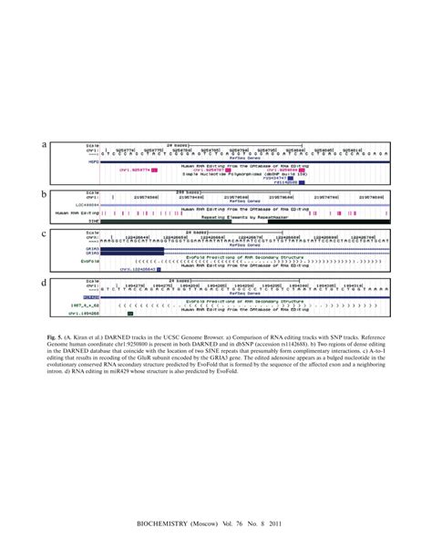 Pdf Identification Of A To I Rna Editing Dotting The Is In The Human Transcriptome