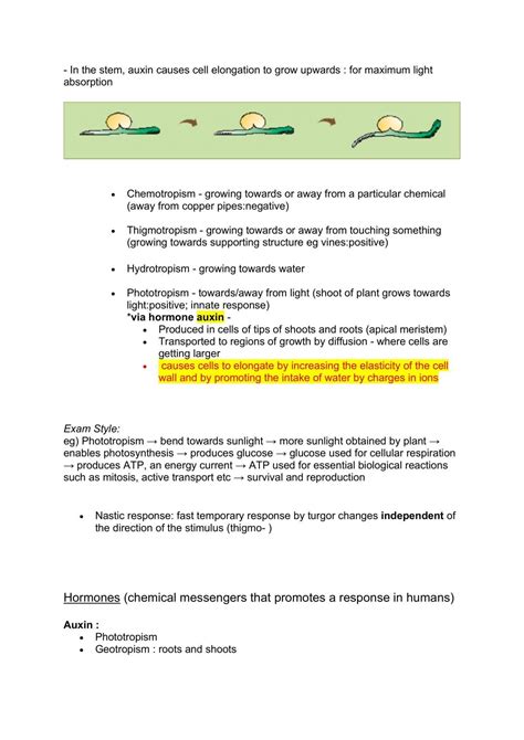 Ncea Level 3 Biology Plant Responses Biology Level 3 Ncea Thinkswap