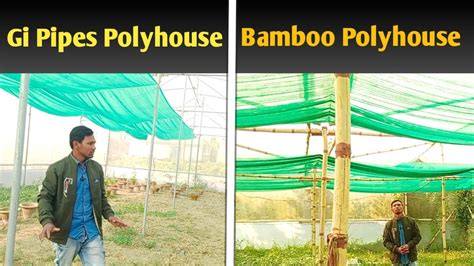 Gi Pipes Polyhouse Or Bamboo Polyhouse Difference YouTube