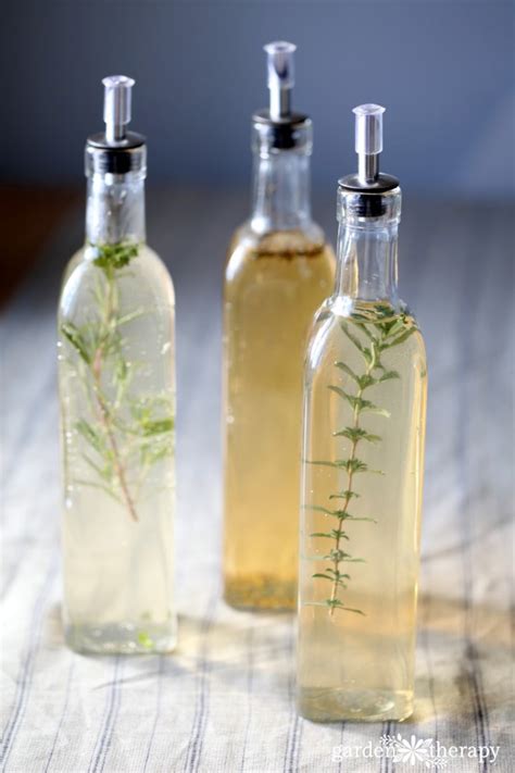 How to Make Infused Vinegar + 3 Easy Recipes to Try Now