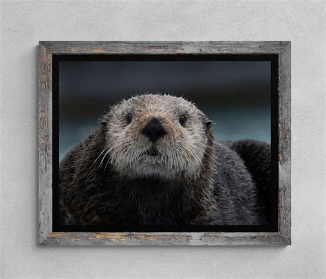 Sea Otter in Seward Alaska. Wildlife Artwork, Digital Photograph - Etsy