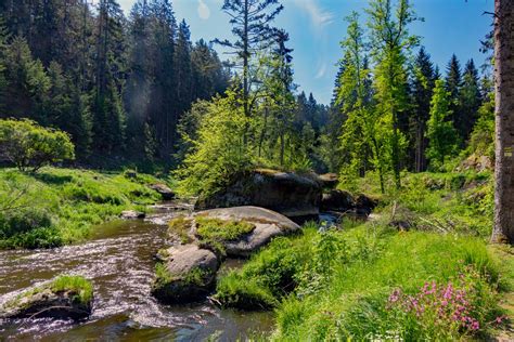 Waldnaabtal Rundweg Hammerm Hle