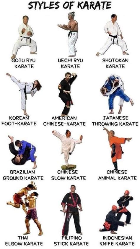 Different Styles of Karate : r/karate