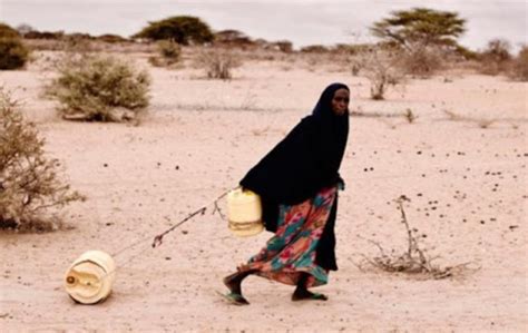 Muertos En Horas Por Sequ A En Somalia