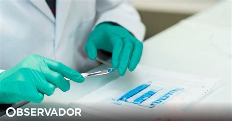 Investigadores Do Porto Procuram Novas Mol Culas Terap Uticas Ajuda