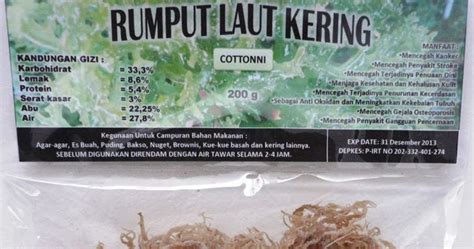 RUMPUT LAUT: Jual Rumput Laut Kering