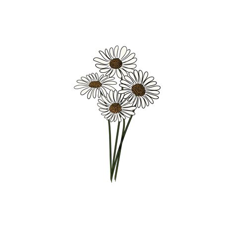 White Daisy Bouquet 16695436 Png