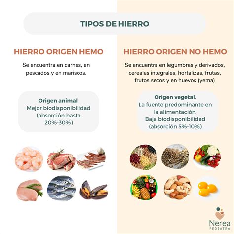 Hierro En La Alimentaci N Infantil Nerea Pediatra