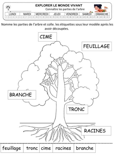 Comment Utiliser Le Padlet Sur Les Arbres La Maternelle De Vivi