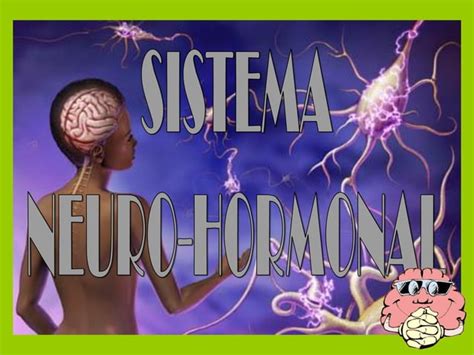 Sistema Neurohormonal PPT