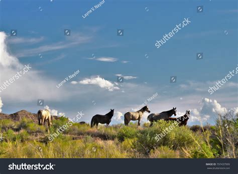 6 Bonanza utah Images, Stock Photos & Vectors | Shutterstock