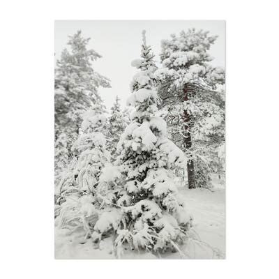 Lapland Finland Lapland winter landscape 1 jpg Plant Art Print/Poster ...