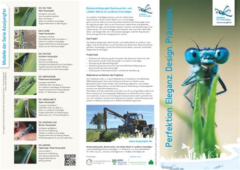 Flyer Azurjungfern im Unterallgäu ODSFM