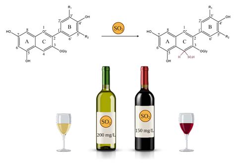 Antioxidants Free Full Text Anthocyanins Factors Affecting Their