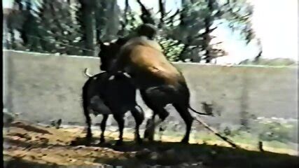 Brazil Retro Porn 6930